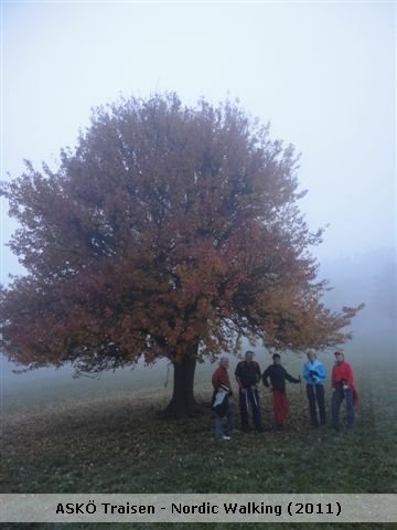 Herbstliche Nordic-Walking Tour am 2.11.2011: Leider ohne Sonnenschein aber bei doch recht angenehmen Temperaturen walkten Panzenböck Trude, Leitner Franz, Schubert Veronika, Krickl Annemarie, Liegle Monika u. Herbert auf die Stockerhütte.
Wir werden auch weiterhin unsere Mittwoch-Touren fortsetzen, allerdings schon um 15Uhr Treffpunkt beim Proisldenkmal. Vielleicht hat der Eine oder Andere Lust mit zu walken. JEDER ist herzlich willkommen!