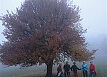 Herbstliche Nordic-Walking Tour am 2.11.2011: Leider ohne Sonnenschein aber bei doch recht angenehmen Temperaturen walkten Panzenböck Trude, Leitner Franz, Schubert Veronika, Krickl Annemarie, Liegle Monika u. Herbert auf die Stockerhütte.
Wir werden auch weiterhin unsere Mittwoch-Touren fortsetzen, allerdings schon um 15Uhr Treffpunkt beim Proisldenkmal. Vielleicht hat der Eine oder Andere Lust mit zu walken. JEDER ist herzlich willkommen!